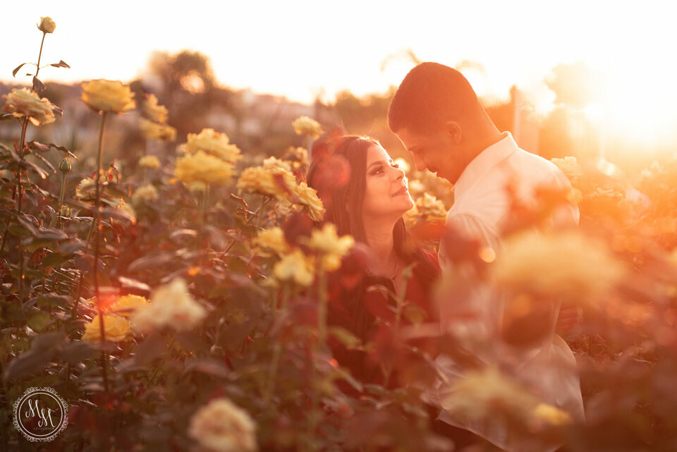 Juliana e Nathan - Ensaio Pré Wedding em Holambra SP