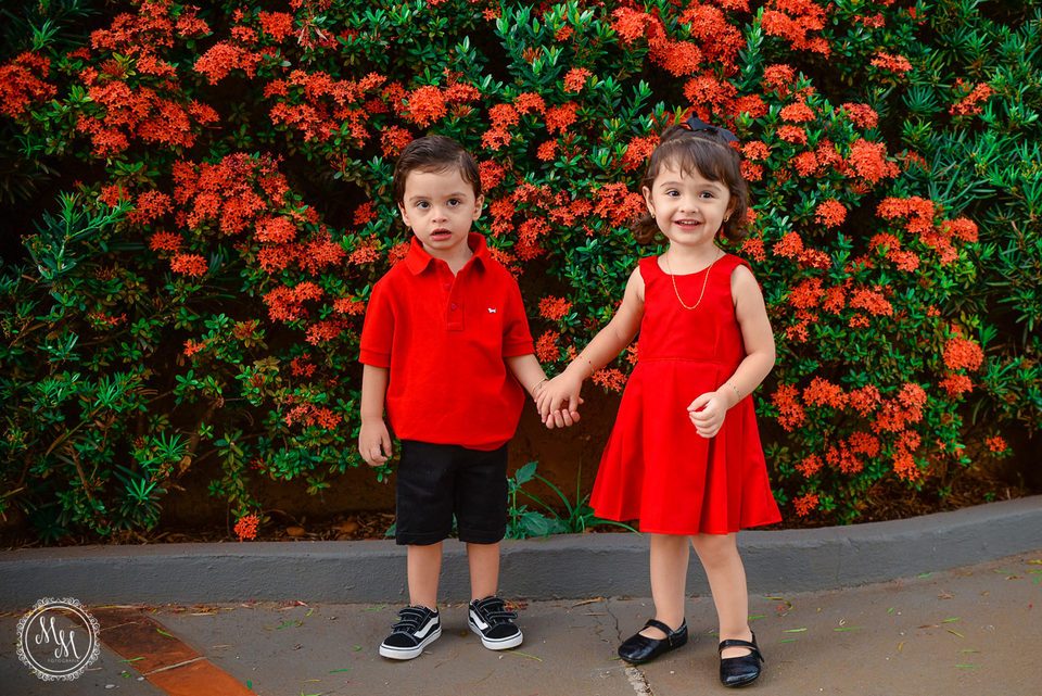 Davi e Laura - 2 aninhos • Aniversário Infantil em Ribeirão Preto SP